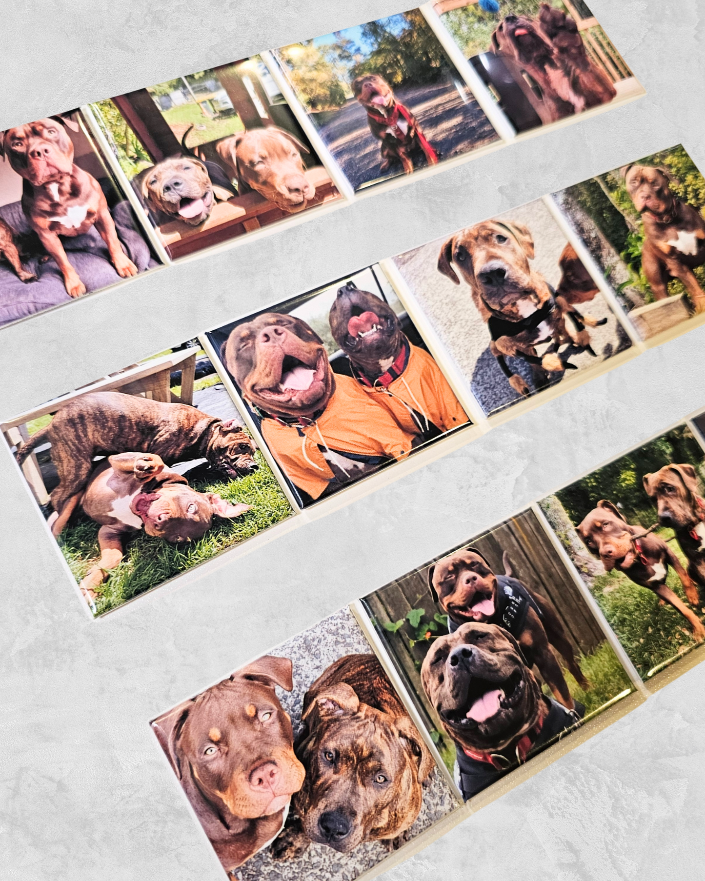 Custom Magnets